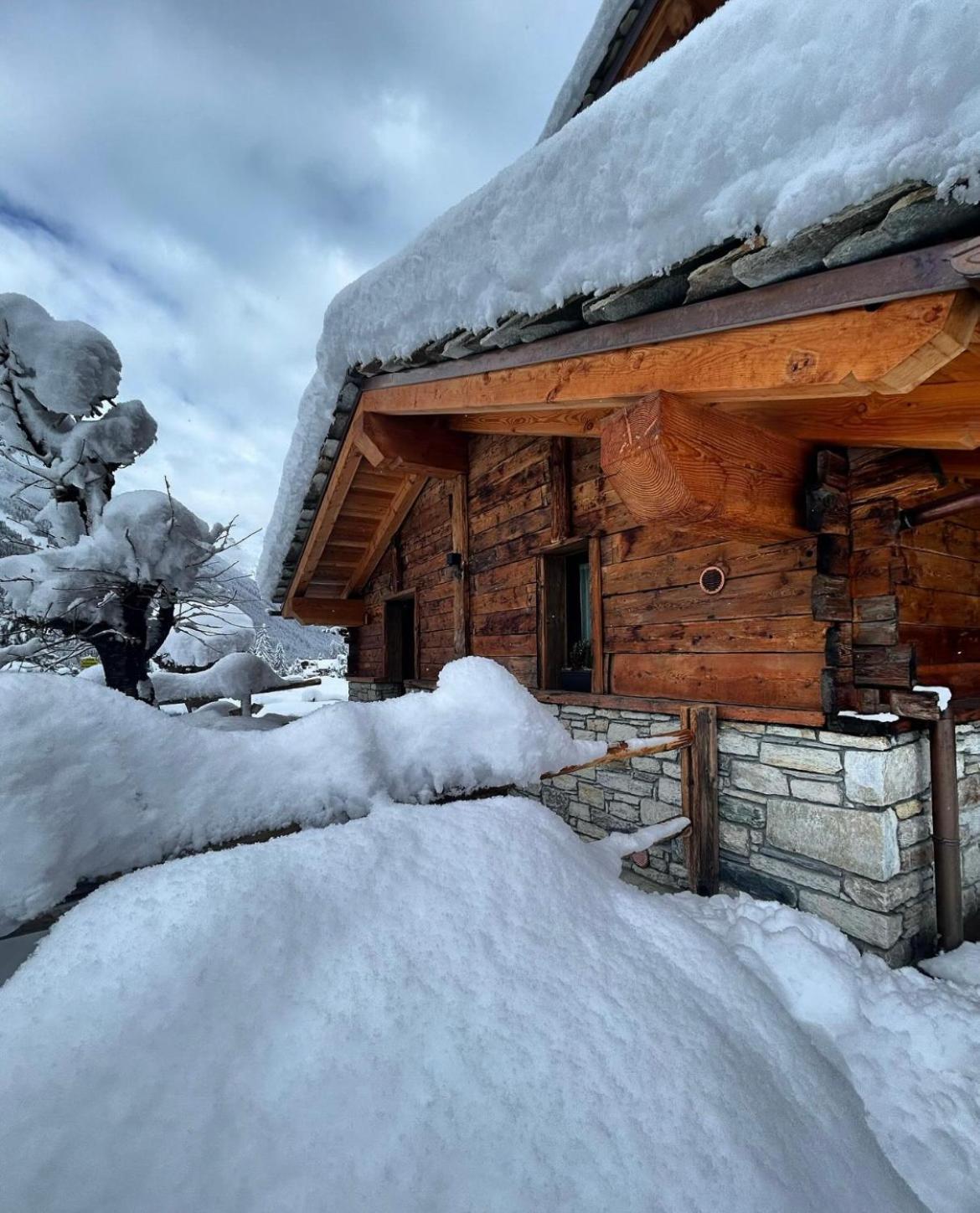 Camere Hostellerie HIBOU - Cogne Eksteriør billede
